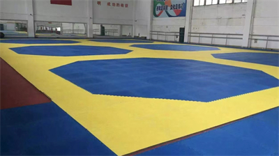 Puzzle Wrestling Mats Martial Arts Karate Mat Nervation