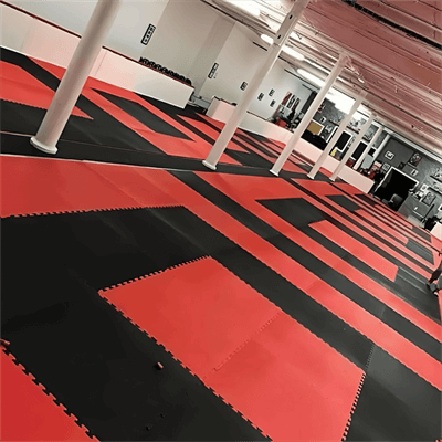 Puzzle Wrestling Mats Martial Arts Karate Mat Nervation