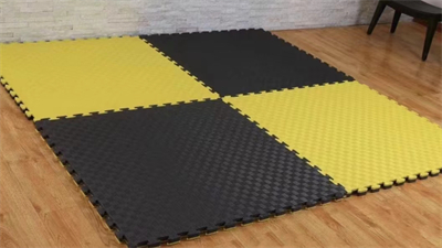 Eva Tatami Puzzle Mats Jiu Jitsu Mats 40mm