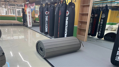 Grappling Roll Up Mats for sale