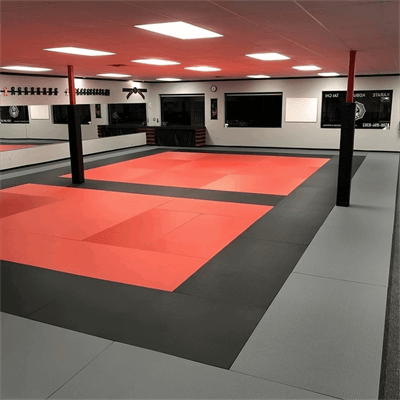 Martial Art Style Judo Mats sale