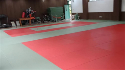 Judo Puzzle Mats supplier Full size Tatami Mats 