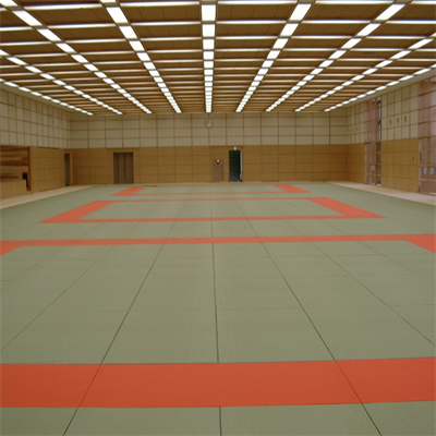 Judo Puzzle Mats supplier Full size Tatami Mats 