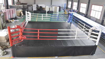 Pro Boxing Ring for Sale