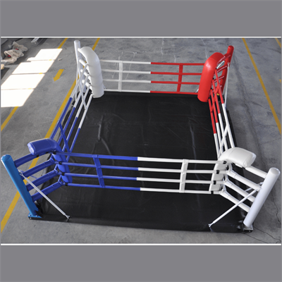 Pro Boxing Ring for Sale