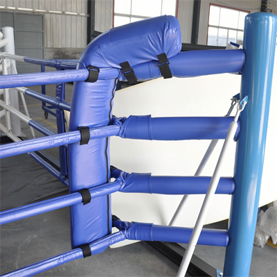 Pro Boxing Ring for Sale