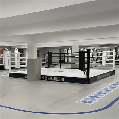 Pro Boxing Ring for Sale