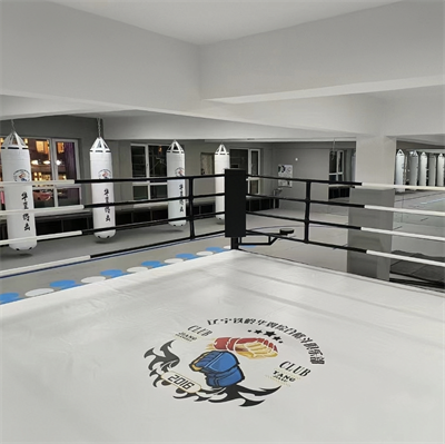 Pro Boxing Ring for Sale