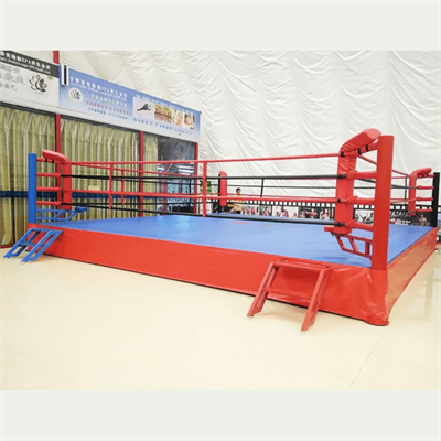 Pro Boxing Ring for Sale