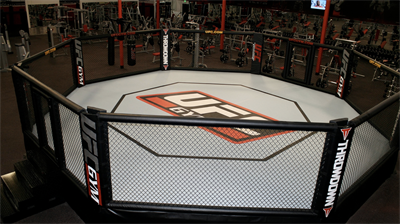 Pro Octagon MMA Cage