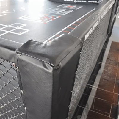 Pro Octagon MMA Cage