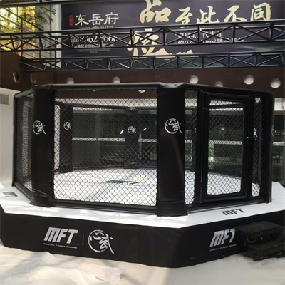 Pro Octagon MMA Cage