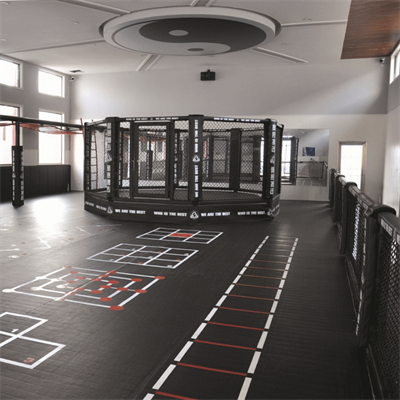 Pro Octagon MMA Cage