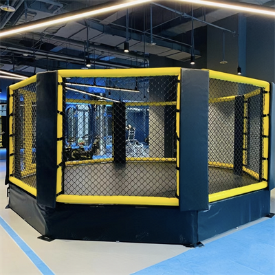 Pro Octagon MMA Cage