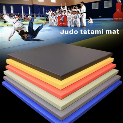 What are the different types of martial arts mats available in the market?