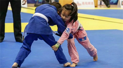 What are the different types of martial arts mats available in the market?