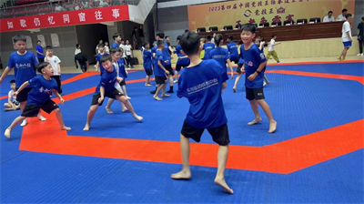 How much do you know about WT Taekwondo roll mats? Professionals will explain it for you