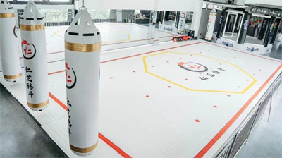 How much do you know about WT Taekwondo roll mats? Professionals will explain it for you