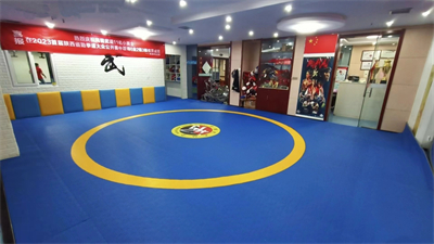 Unveiling the Secrets of Indoor Martial arts Mats: Customizing the Best Choice for Different Trainin