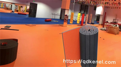 Color Psychology and Martial Arts Mats: How Color Affects Athletic Performance